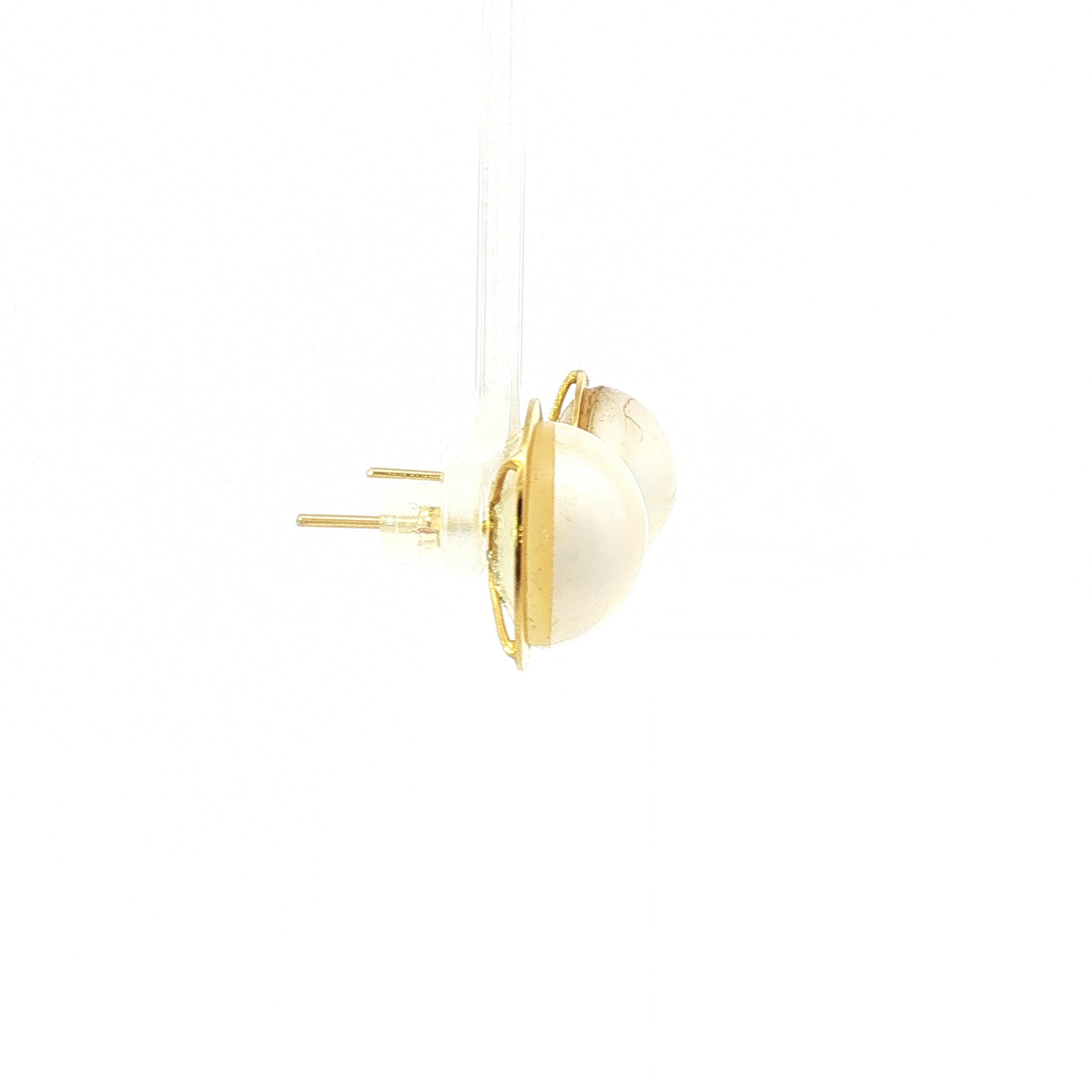 Classic Pearl Bezel Stud Earrings in Yellow Gold